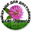 Люпин однолетний