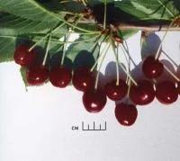 Саженцы черешни Бряночка
